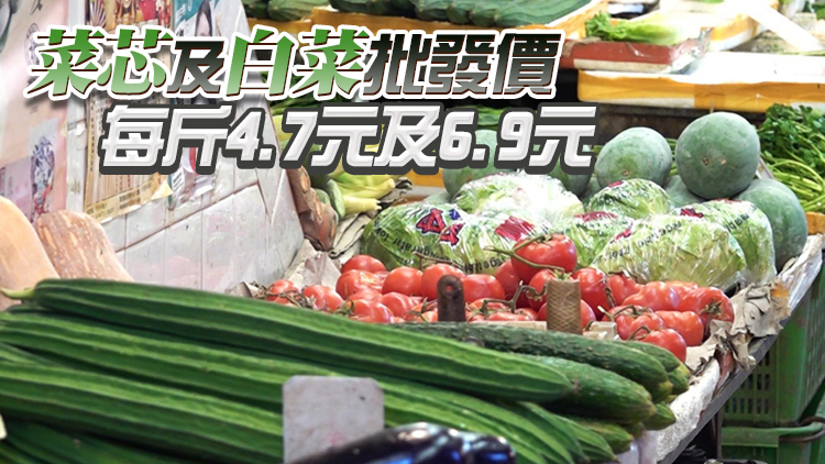 18日內地供港蔬菜2700公噸 鮮活食品供應充足穩定