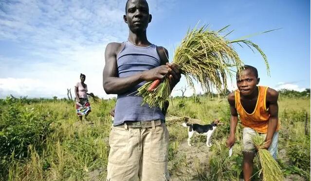 【國際觀察】美國輸出通脹拖累非洲經濟增長前景