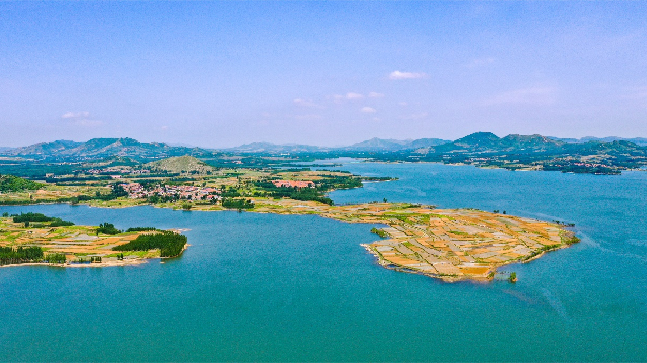 由美到富：調好綠富美「農」墨，繪就沂蒙新「豐」景