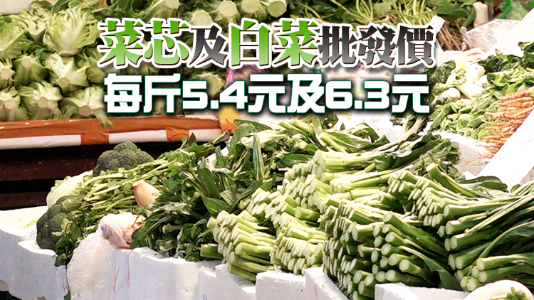 25日內地供港蔬菜逾2700公噸 鮮活食品供應充足穩定