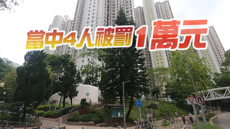 政府抽查沙田美松苑興松閣 揭7人違強檢公告