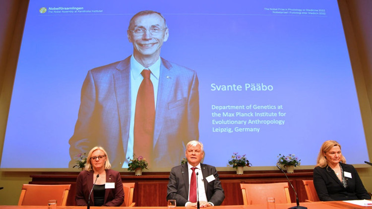 研究人類「遠古親戚」，他的冷門學科為何獨享諾貝爾生理學或醫學獎？