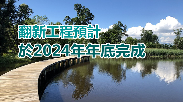 濕地公園進行翻新工程 將分階段暫停開放部分設施