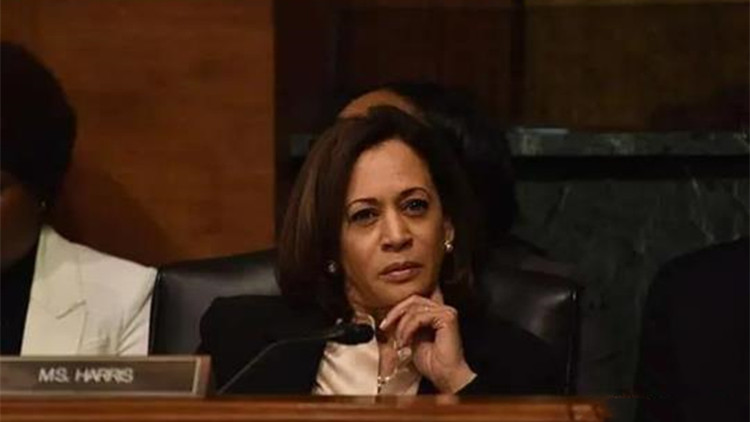 賀錦麗遭遇輕微車禍 特勤局稱「機械故障」