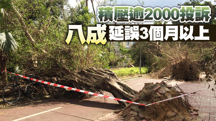 政府處理樹木投訴時間冗長 申訴專員展開主動調查