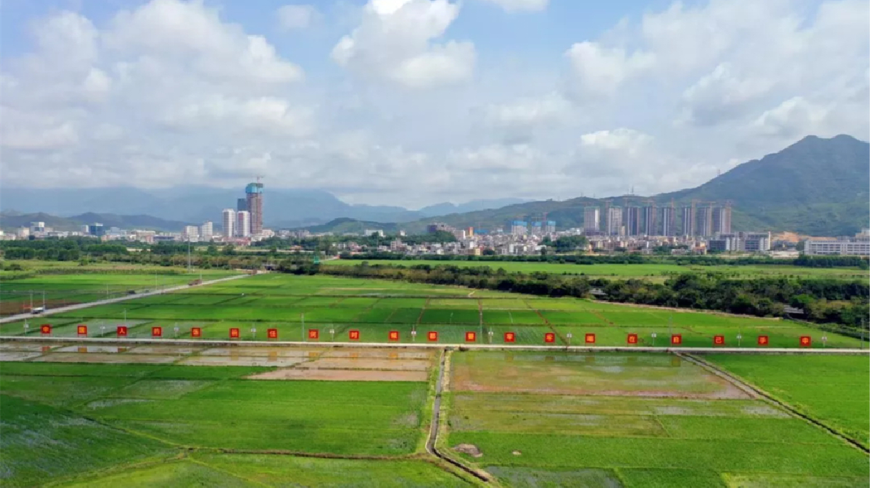 國家雜交水稻工程技術研究中心廣東分中心落戶深汕