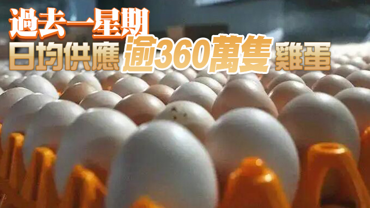 14日內地供港蔬菜供應正常 鮮活食品供應充足穩定