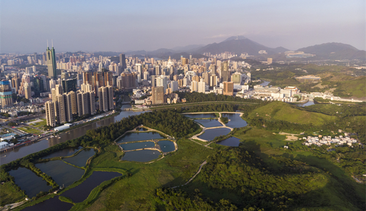 【深企第一線】 華潤置地攜手4大發展商 合拓北都會地產項目