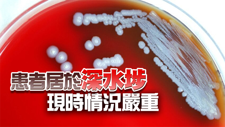 再多一名83歲男子感染類鼻疽 白田邨重建地盤4泥土樣本呈陽性