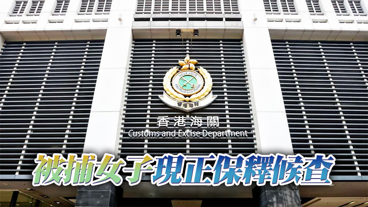 海關拘捕一名44歲女子 涉網上賣假鑽石吊墜
