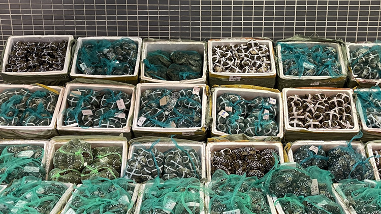 非法銷售大閘蟹樣本驗出微量禁用獸藥代謝物