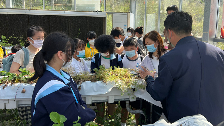 民建聯議員郭玲麗實地考察有機生態園 倡政府發展智能太陽能溫室