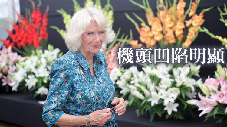 英媒：英王后所乘飛機着陸遭鳥撞擊