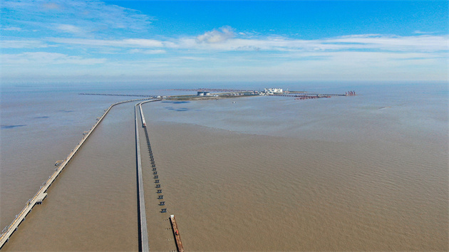 江蘇如東：堅持高水平對外開放 賦能高質量發展