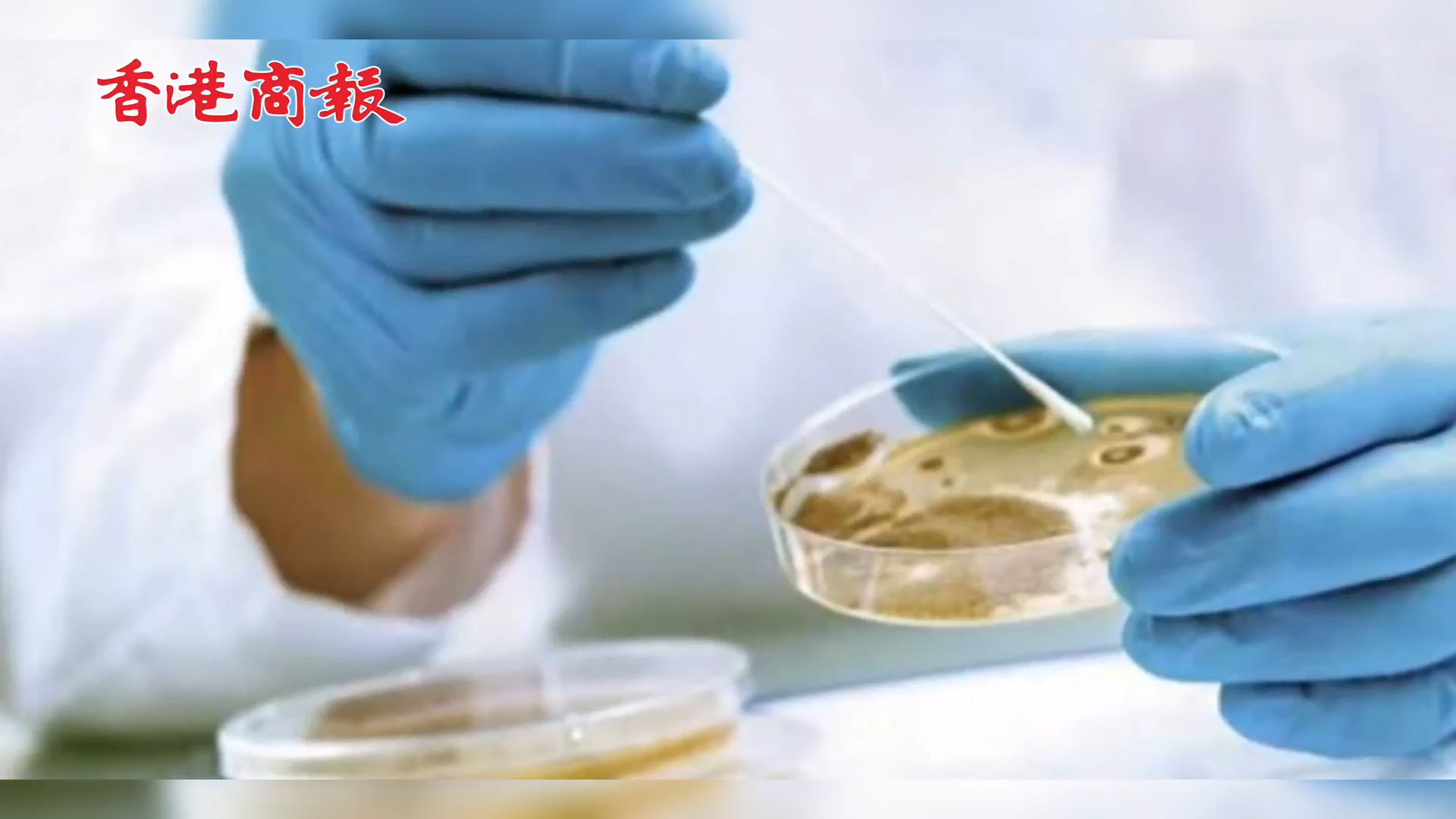 有片 | 阿根廷首次出現「超級真菌」感染病例