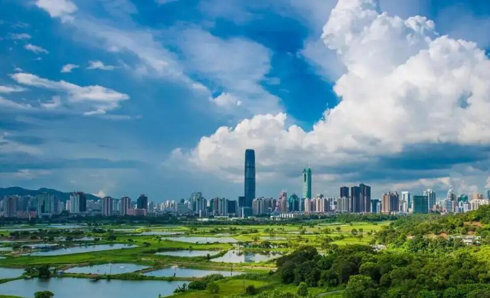 【評論】打造好「國際紅樹林中心」這張新的「生態名片」