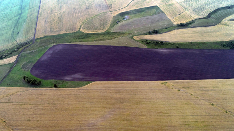 俄羅斯將提高2023年糧食出口配額