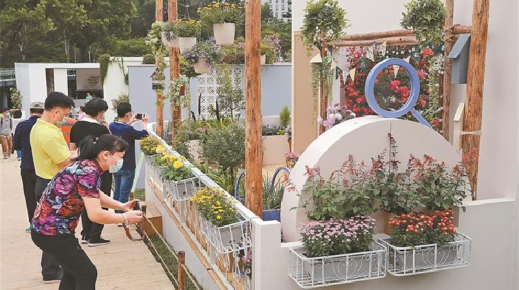 2022深圳簕杜鵑花展15日起在蓮花山公園舉行 持續至12月5日