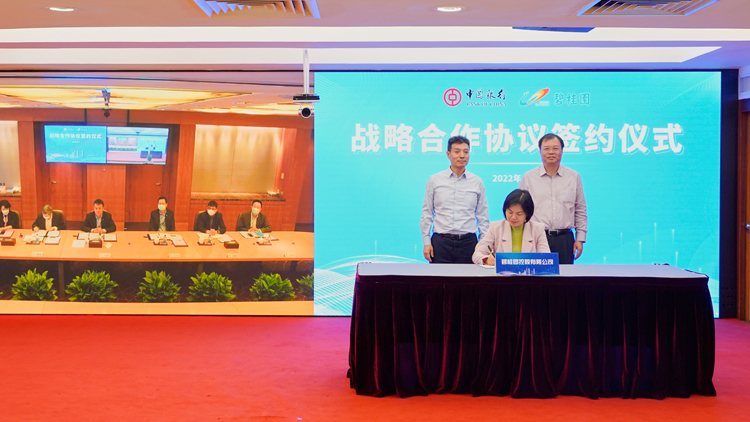 碧桂園獲三家銀行超1500億元綜合授信支持 多隻債券大漲盤中臨停