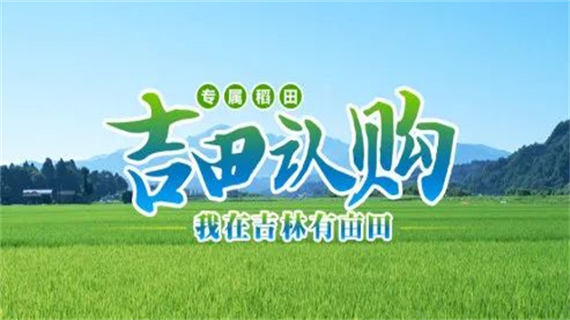 從「賣米」到「賣地」，吉林大米有何與眾不同？