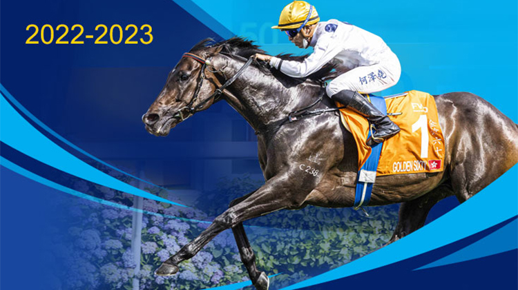 運輸署：明日起 跑馬地會在賽馬日實施特別交通安排