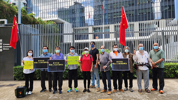 市民團體：支持特首提請人大釋法 國安法凌駕於所有法律