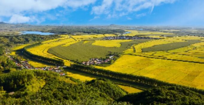 有片| 黑土地孕育的傳奇！在吉林傳承！