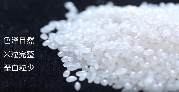 有片| 怎樣才能選購到好吃又營養的大米