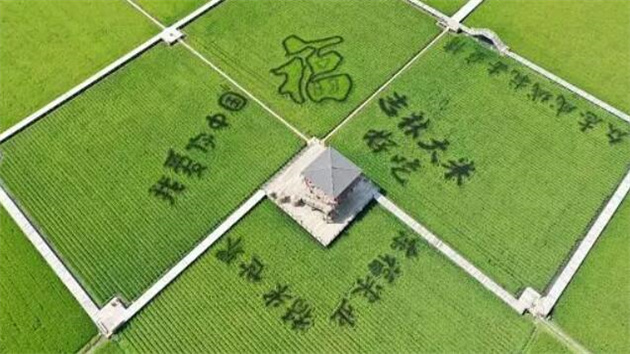 從農耕時代到智慧農業，稻作文化將永久傳承下去！