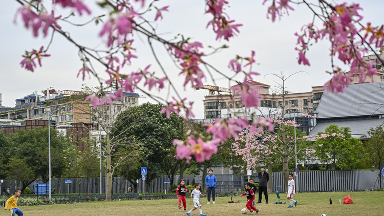 廣州市市場監管局提醒：藥品供應充足 沒必要「囤貨」