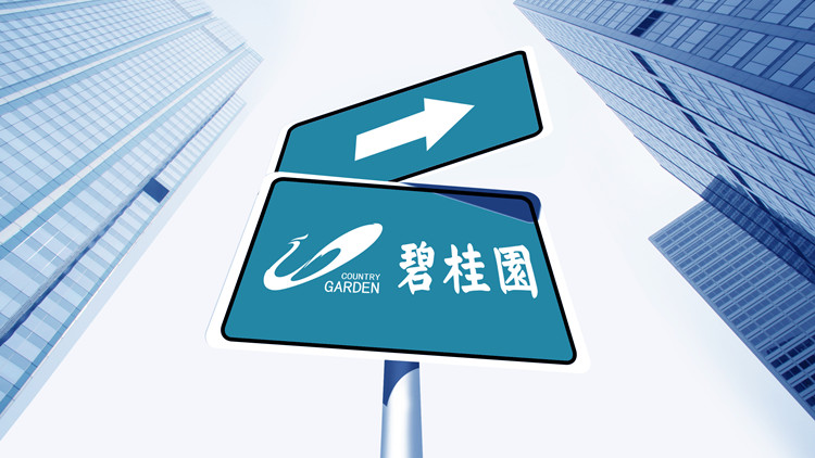 「金融16條」加速落地  碧桂園獲十家銀行超3000億元綜合授信支持