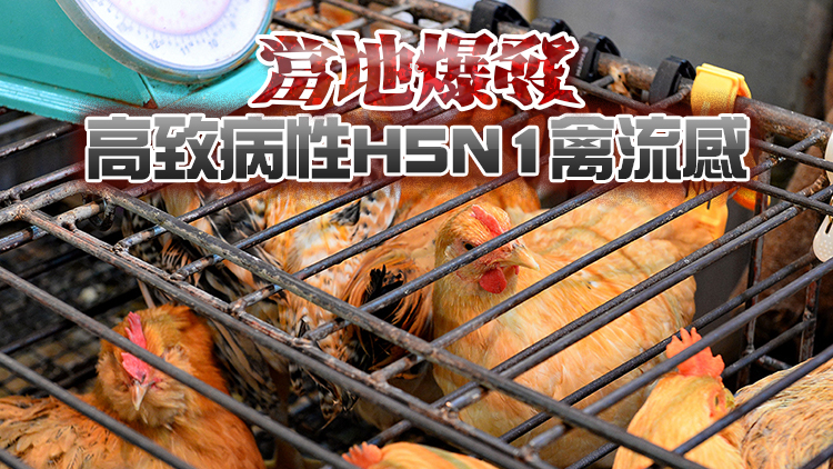 本港暫停進口南非、美國和日本部分地區禽肉及禽類產品