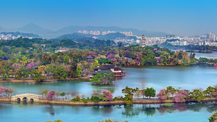 有片 | 堅持製造業當家 惠州打造廣東高質量發展新增長極