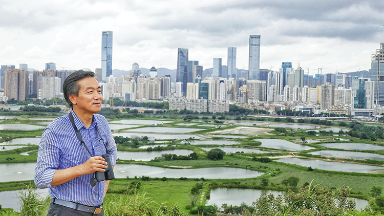 專家建議政府在香港東面進行候鳥保育 減少雀鳥撞飛機事故