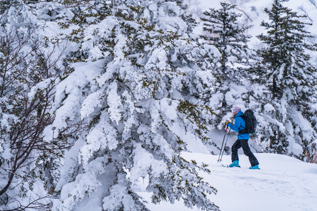 3港人日本北海道登山遇暴風雪  1死1傷