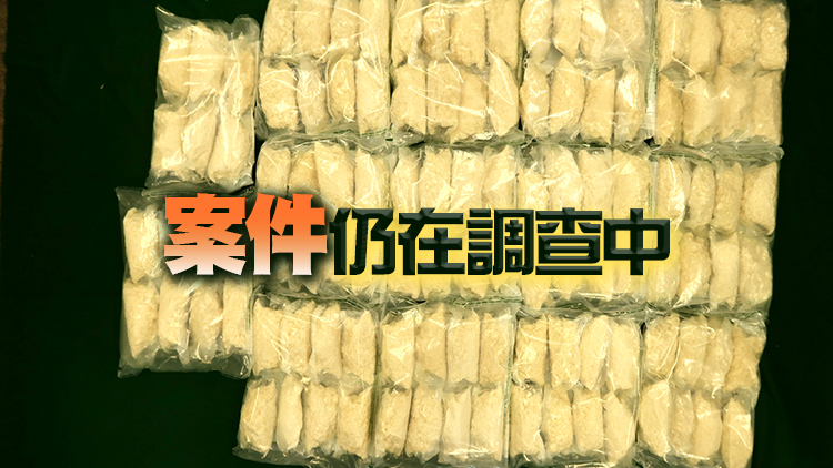 海關葵涌檢獲約2600萬元懷疑可卡因 拘捕1名女子
