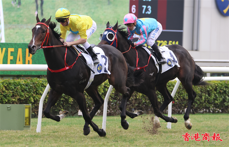 圖集｜元旦賽馬日入場人數今季次多 何澤堯四喜臨門成華將一哥