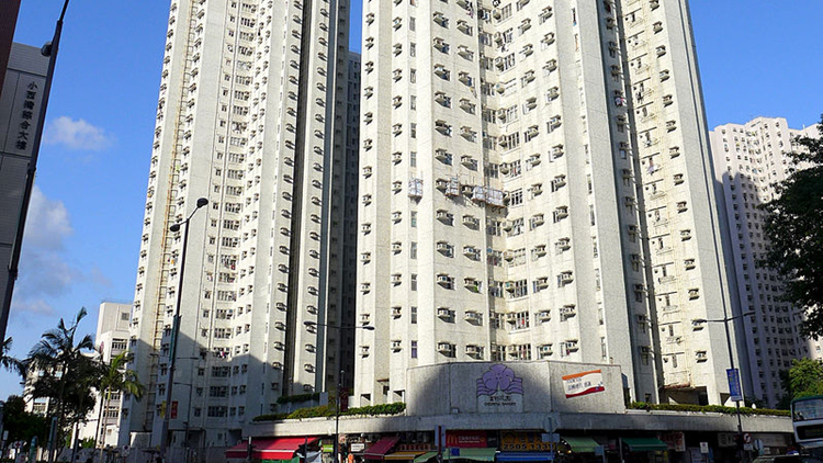 東區荃灣及北區污水檢測呈陽性 獲派4.5萬快測包