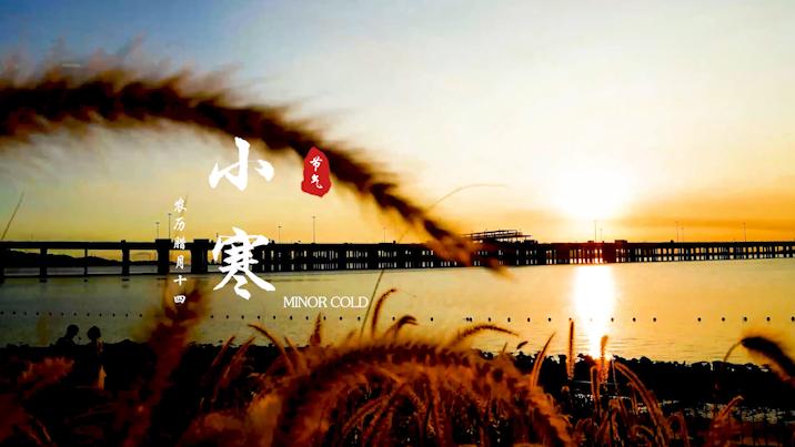 有片丨【深圳24節氣】小寒：曉日初長，待春歸