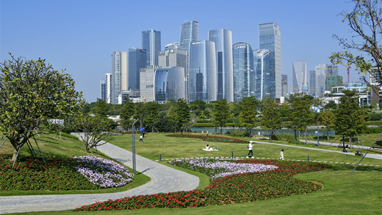 深圳，這樣貫徹落實中央經濟工作會議精神