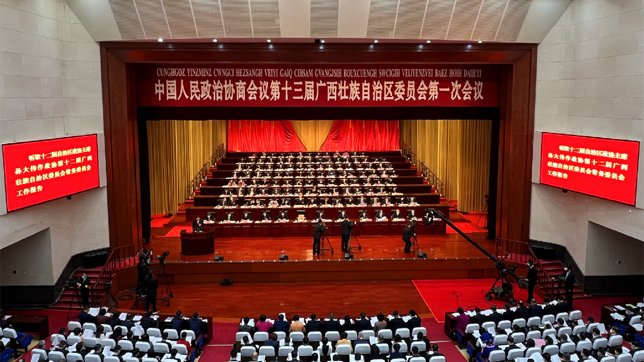 致公黨廣西區委：借RCEP紅利推動廣西新能源汽車高質量發展