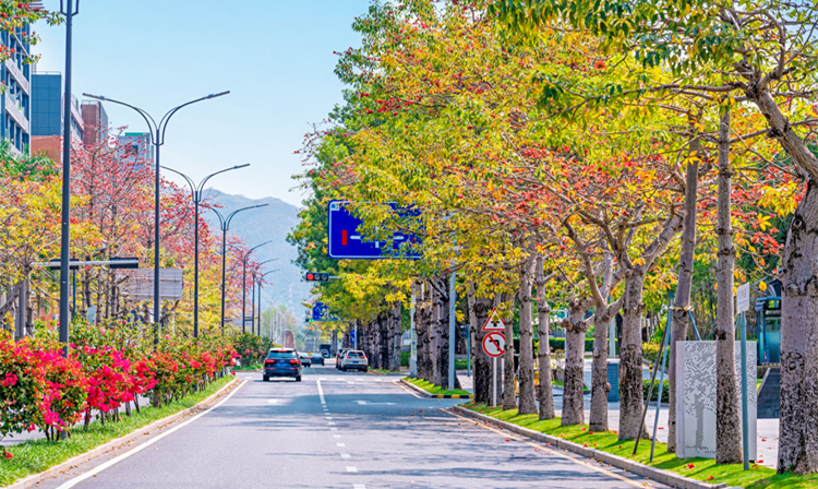 2022年環境指數測評發布  福田區連續三年蟬聯深圳第一