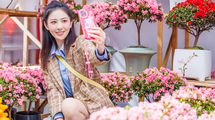 2023深圳迎春花市1月15日盛大開展