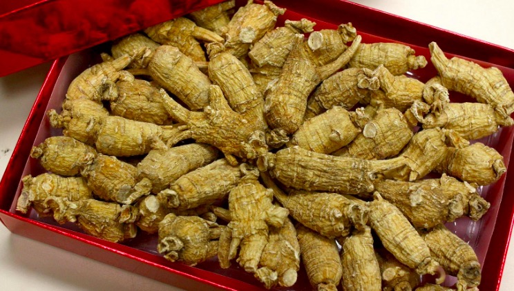 去年關口檢獲攜帶瀕危物種逾340宗 漁護署籲市民勿試法