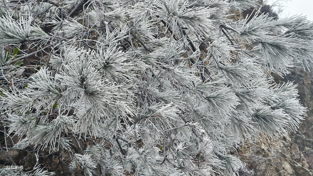 廣東樂昌迎來2023年第一場霧凇 美如仙境