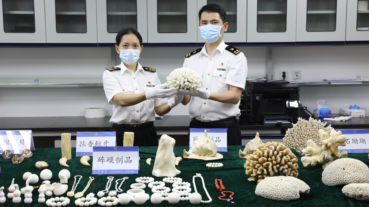 2022年廣州海關查獲瀕危物種及其製品逾45.3噸