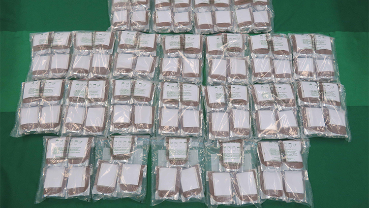 海關青衣檢獲約2500萬元懷疑冰毒 拘捕1人