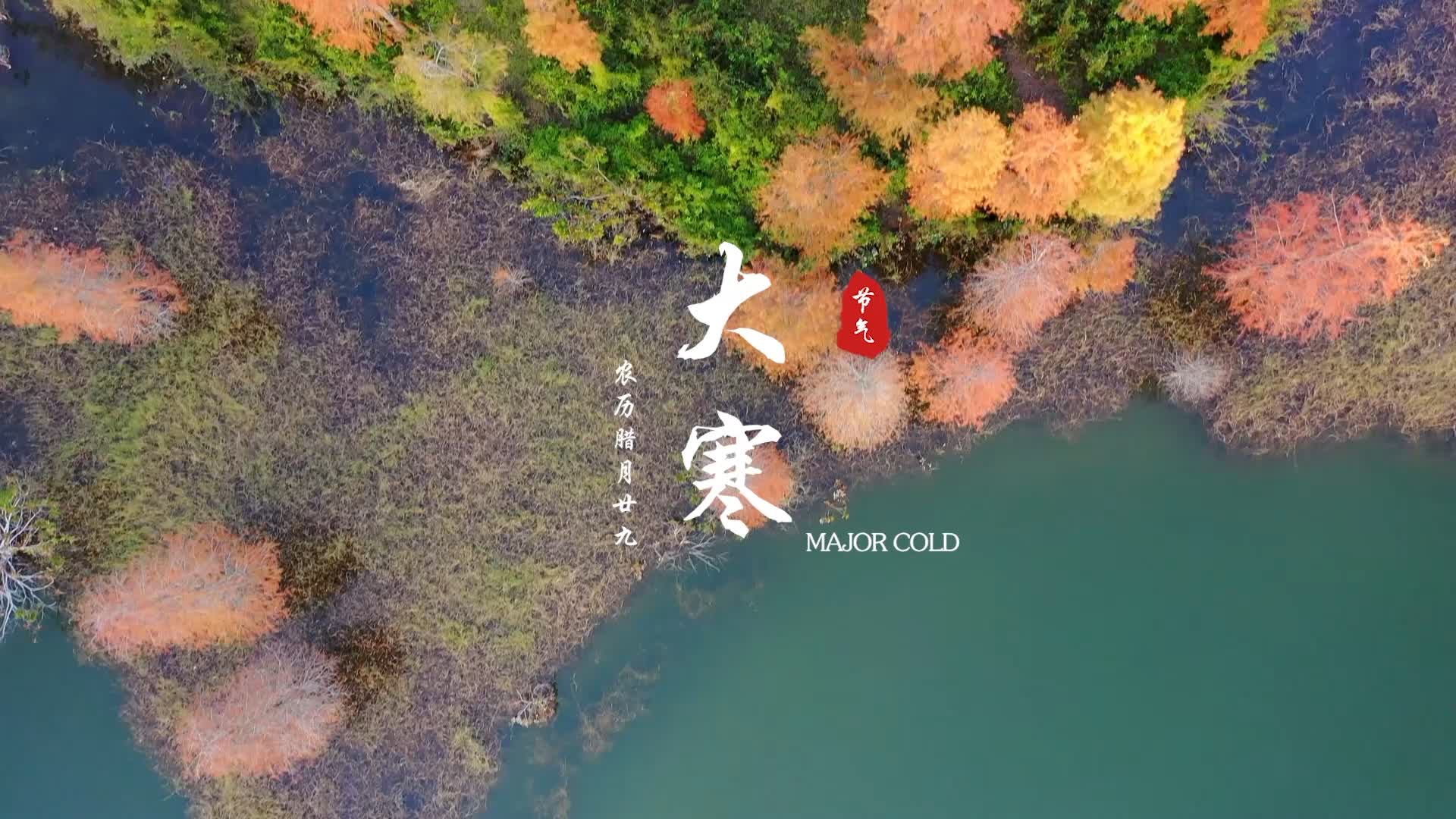 有片 | 深圳24節氣 大寒：天地風霜盡，乾坤氣象和