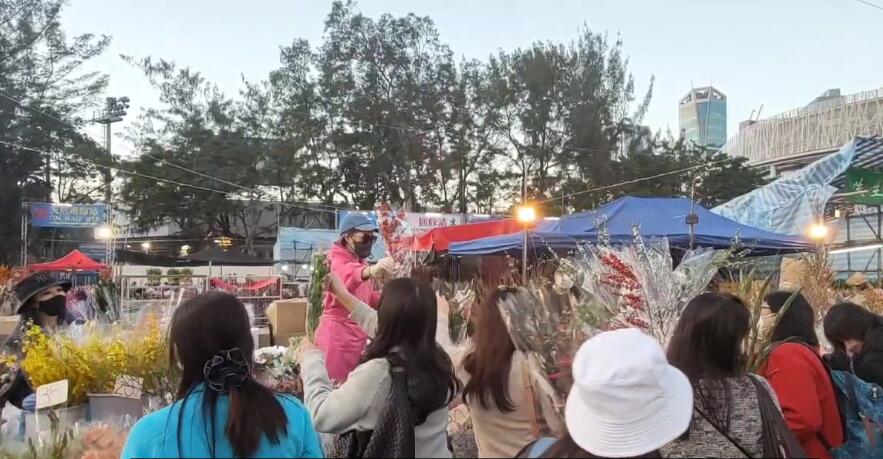 有片｜維園花市旺場 攤主：期待完全通關更火爆