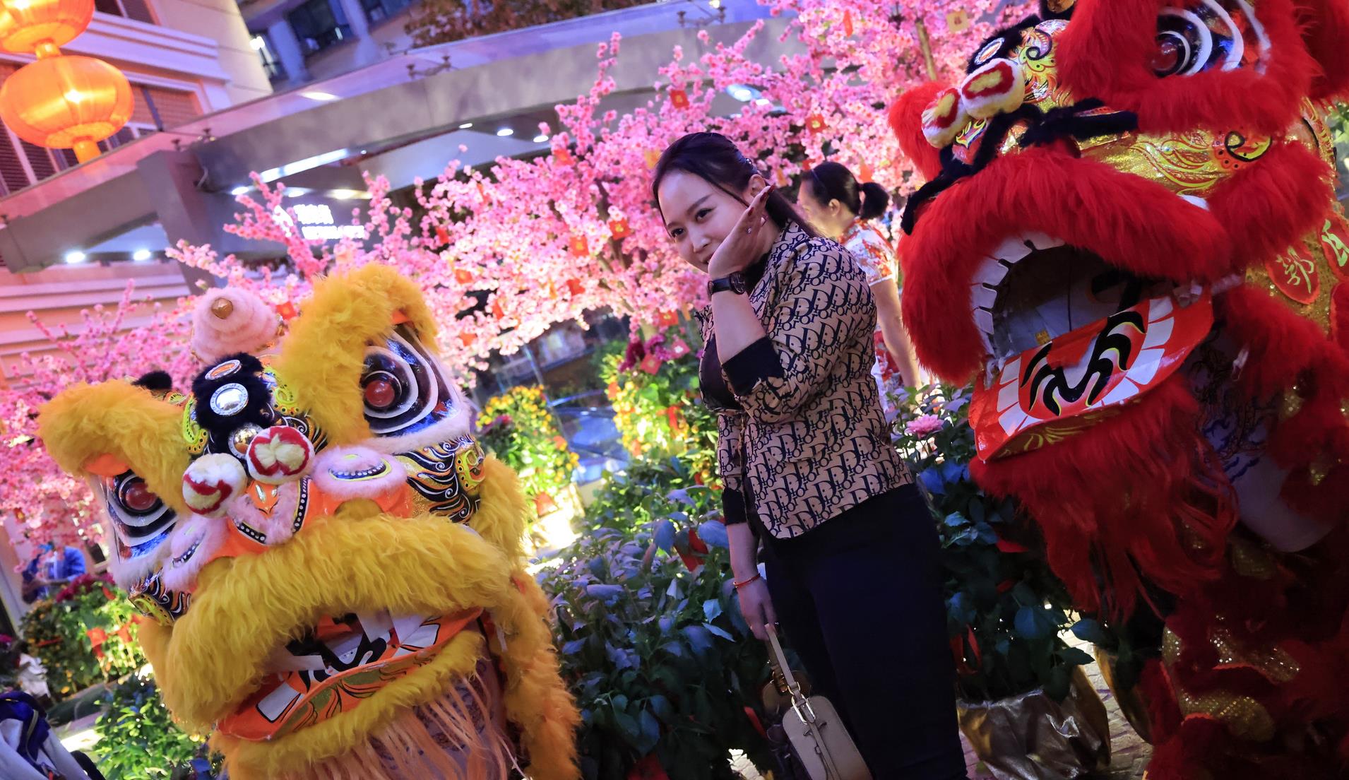 「虎」盡「兔」來 香港街頭年味濃